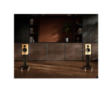 Marten Dexter Duo Lautsprecher