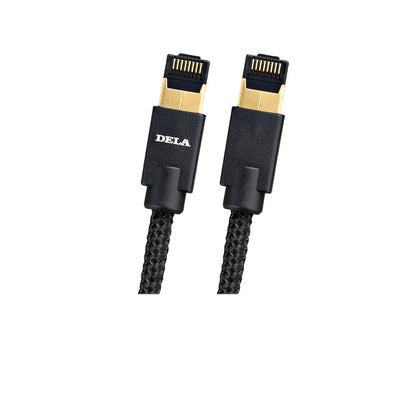 DELA C100 Netzwerkkabel