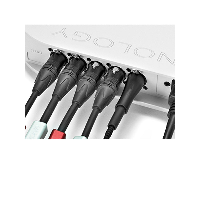 MSB Technology The Dynamic Headphone Amplifier Kopfhörerverstärker